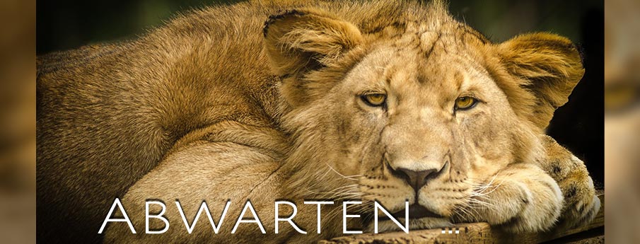 Corona-Maßnahmen Sachsen